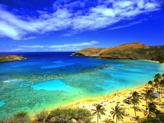 Beaches Hanauma_Bay_Oahu_Hawaii